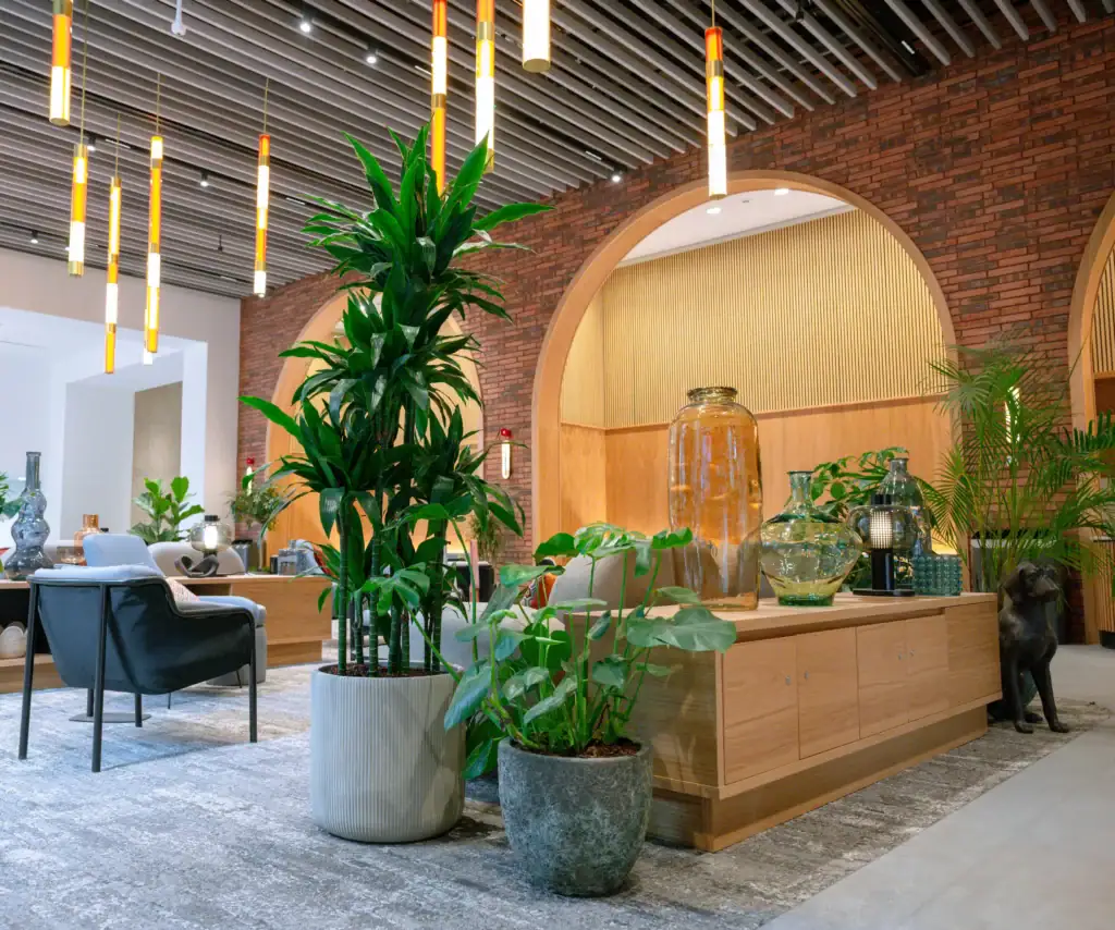 Live plants in containers at 3 Circle Square by I Want Plants