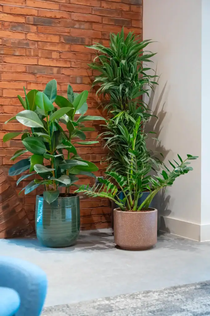 Live plants in containers at 3 Circle Square by I Want Plants