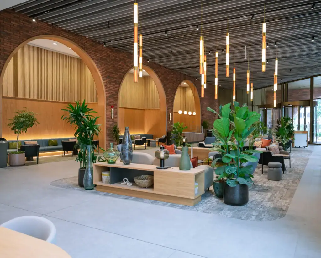 3 Circle Square Manchester, large plants in pots
