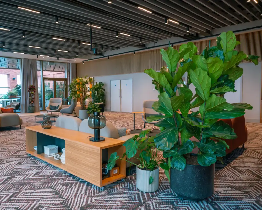 3 Circle Square First Floor Lounge with plants by I Want Plants
