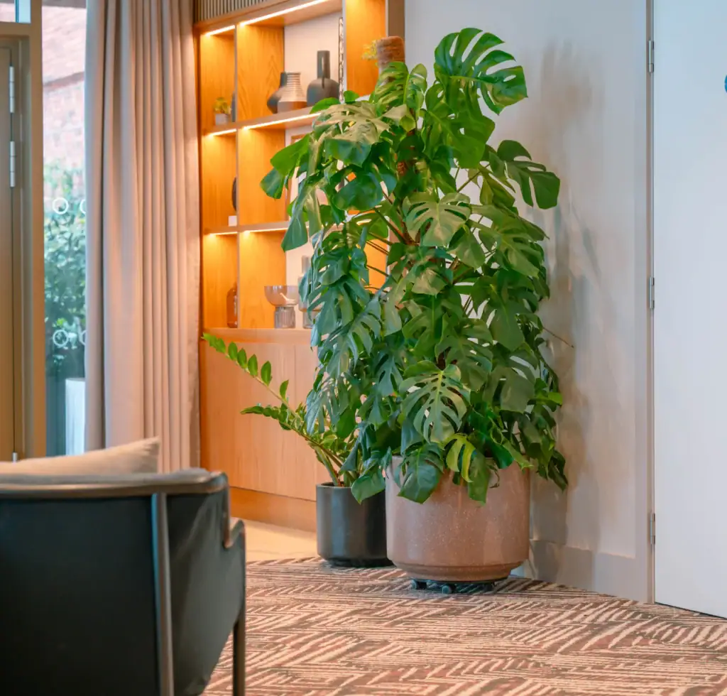Bruntwood SciTech 3 Circle Sq Plants by I Want Plants