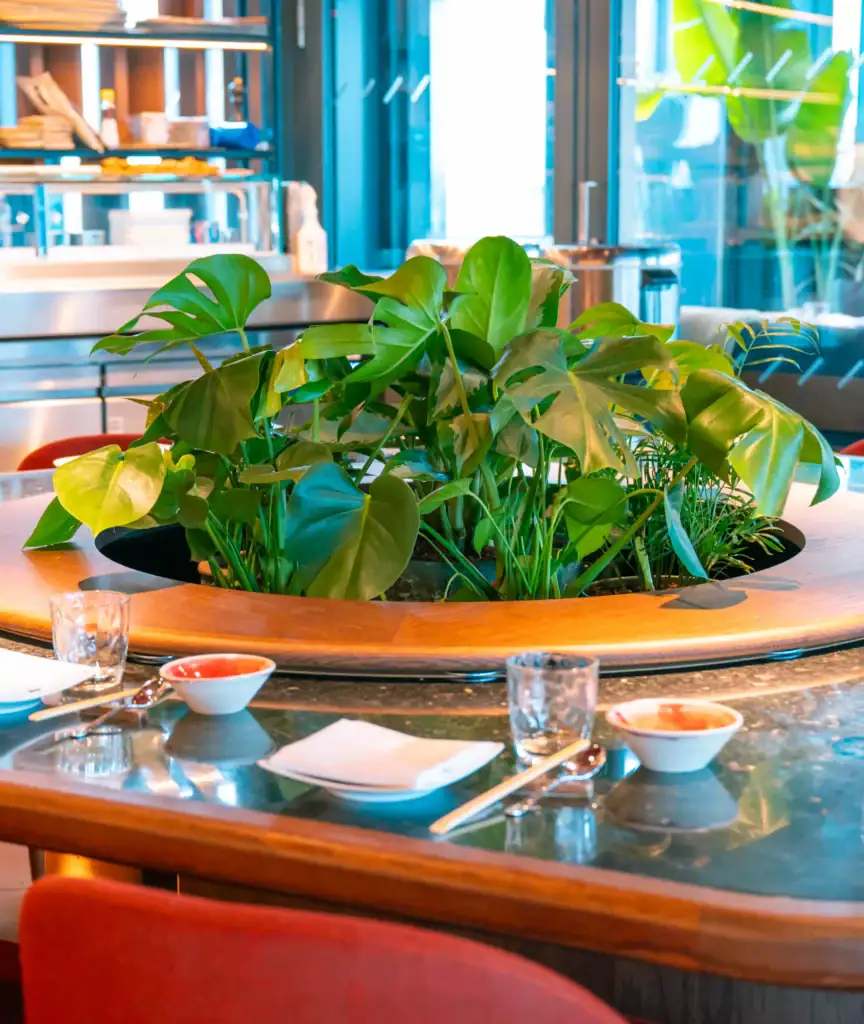Live Plants inset into dining table at Chotto Matte Manchester