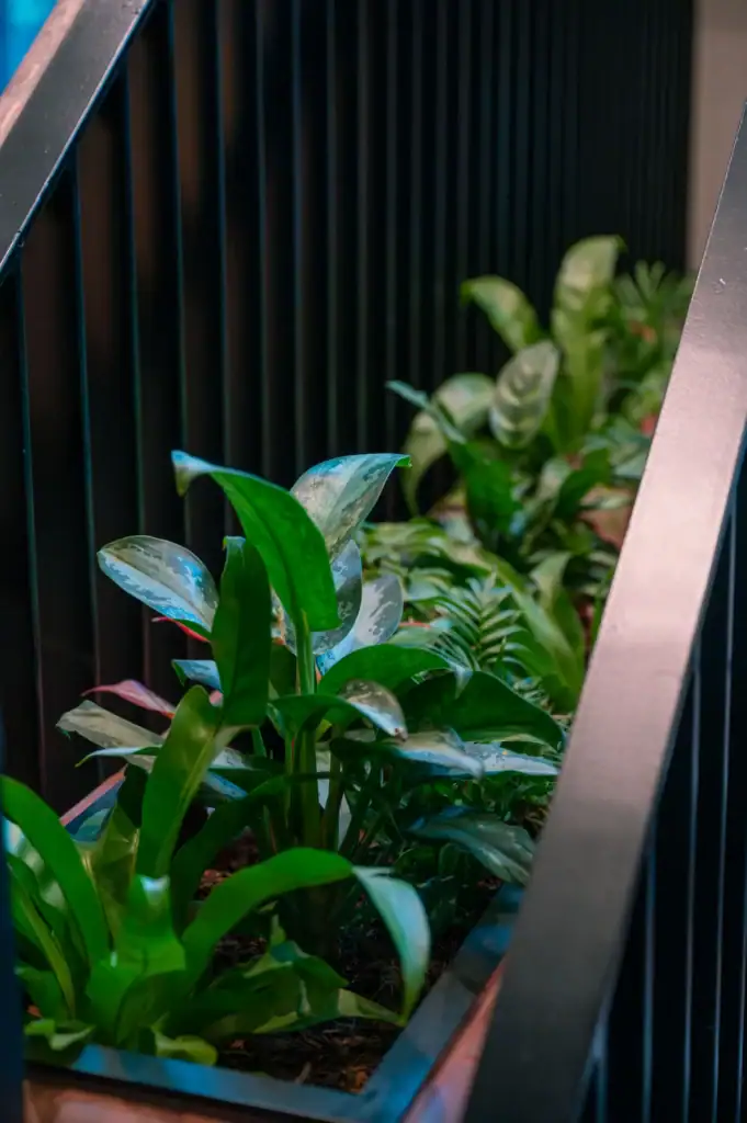 Live plants in trough at base of stairwell
