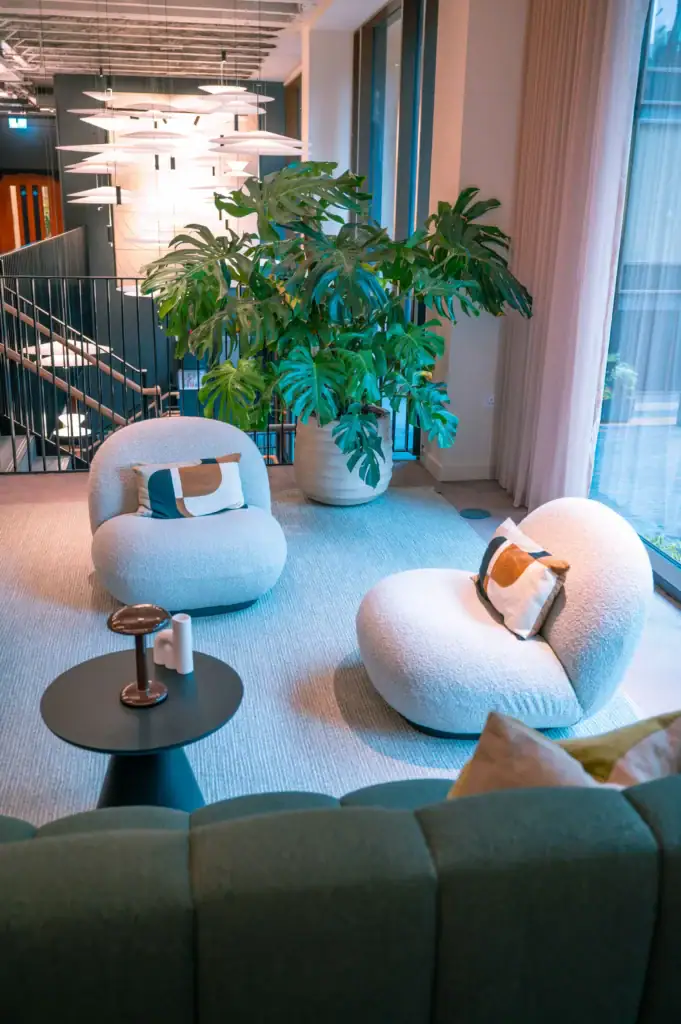 communal lounge with large monstera plant at Pall Mall