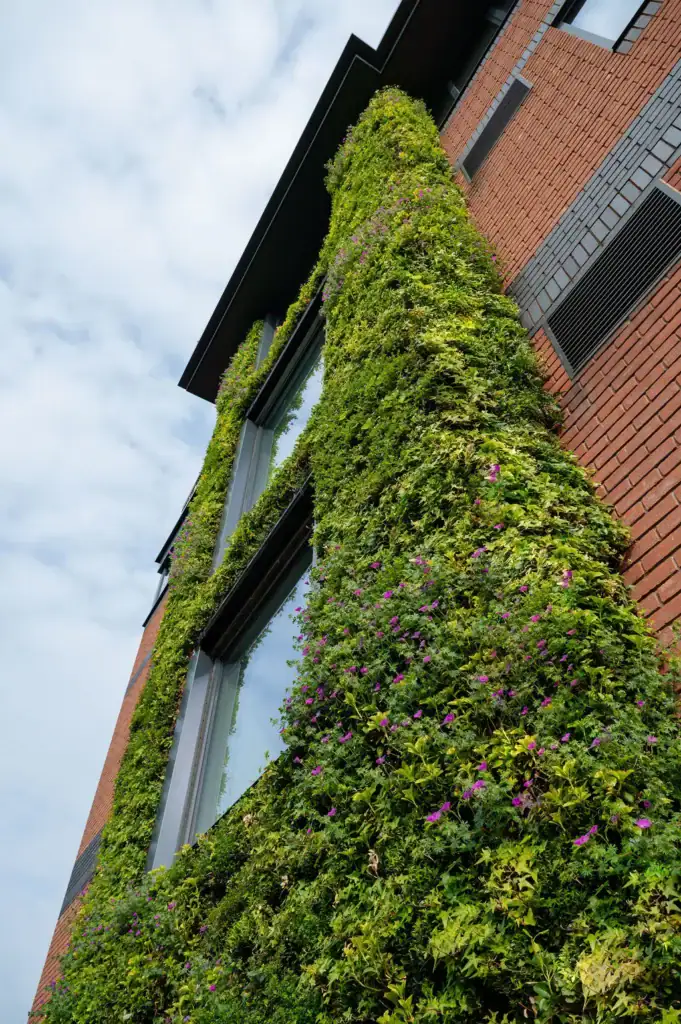 Meeting BNG criteria with HYVERT Living walls at Assura