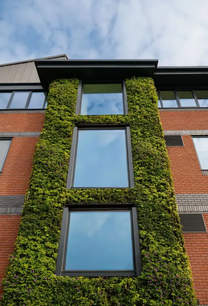Looking up at HYVERT living wall at Assura HQ built around window frames