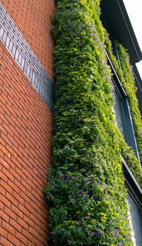 HYVERT Living wall in Altrincham at Assura now PHP